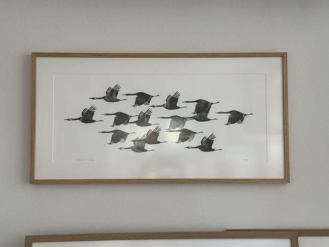 Kraniche im Flug