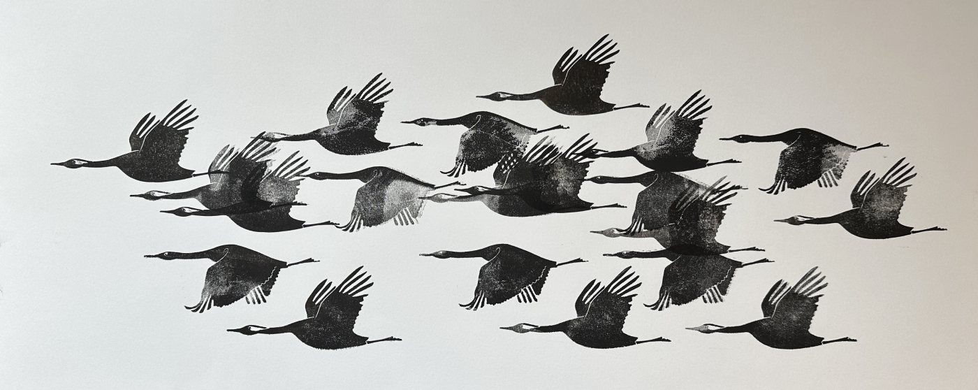 Kraniche im Flug