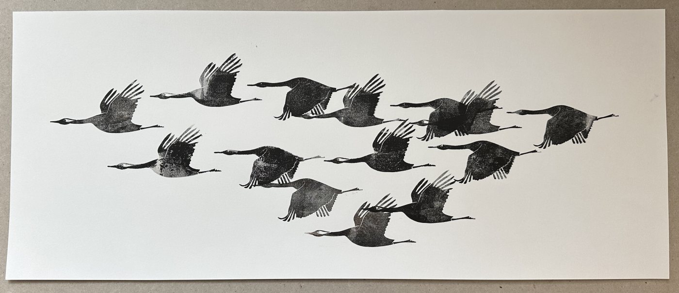 Kraniche im Flug