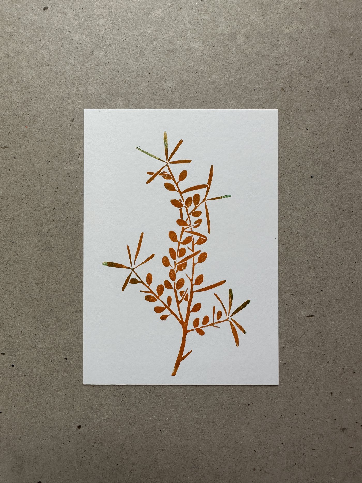 Sanddorn orange