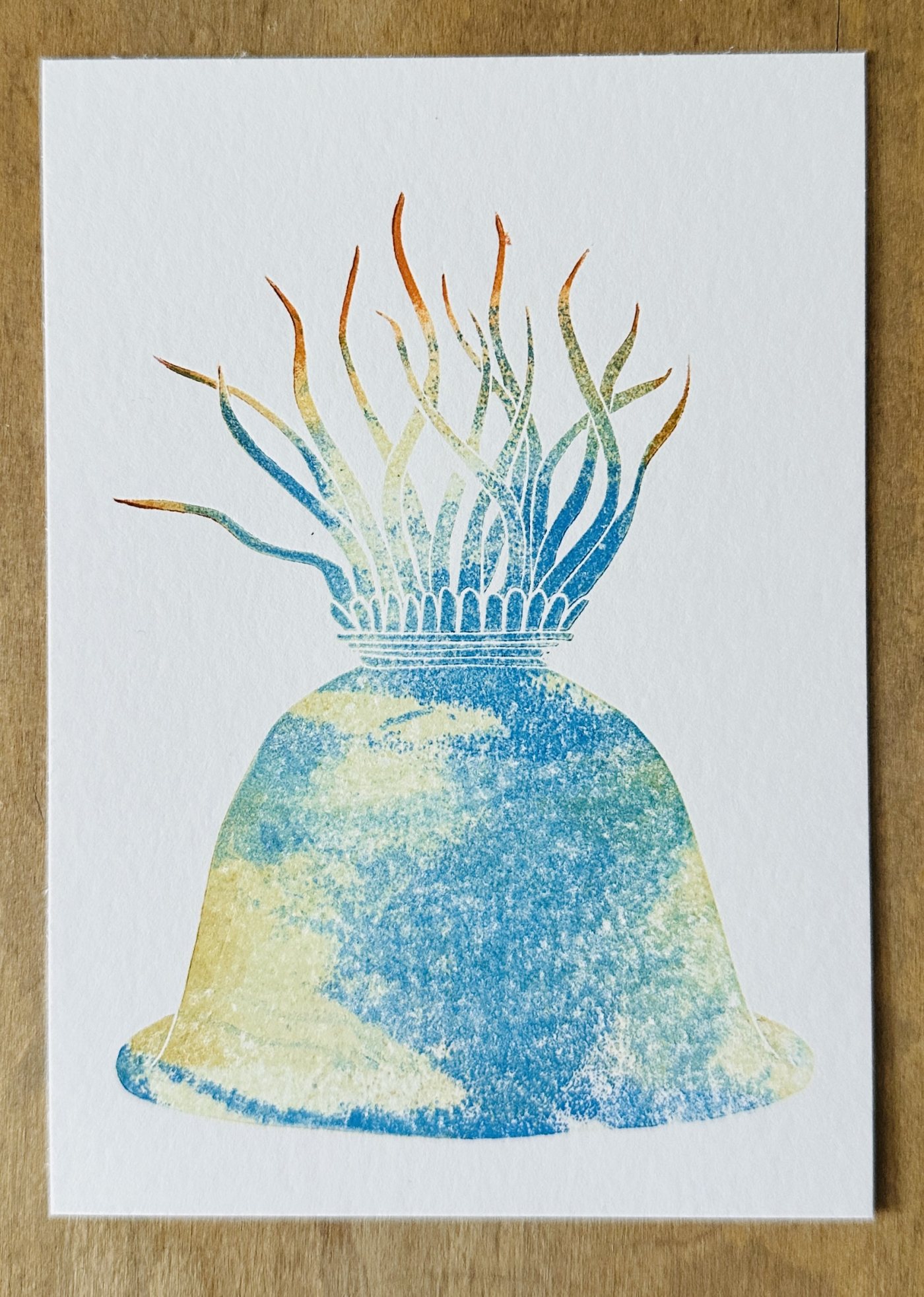 Seeanemone mit blau