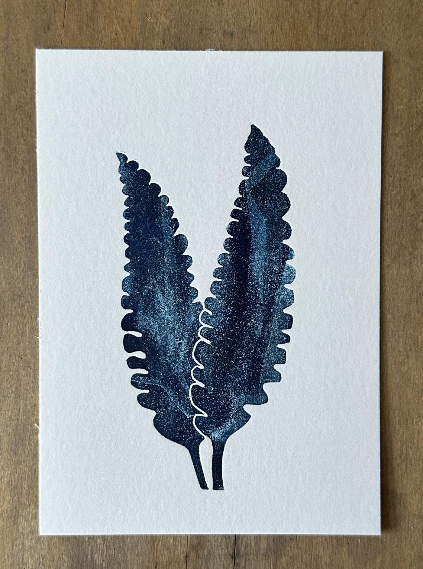 Alge blau
