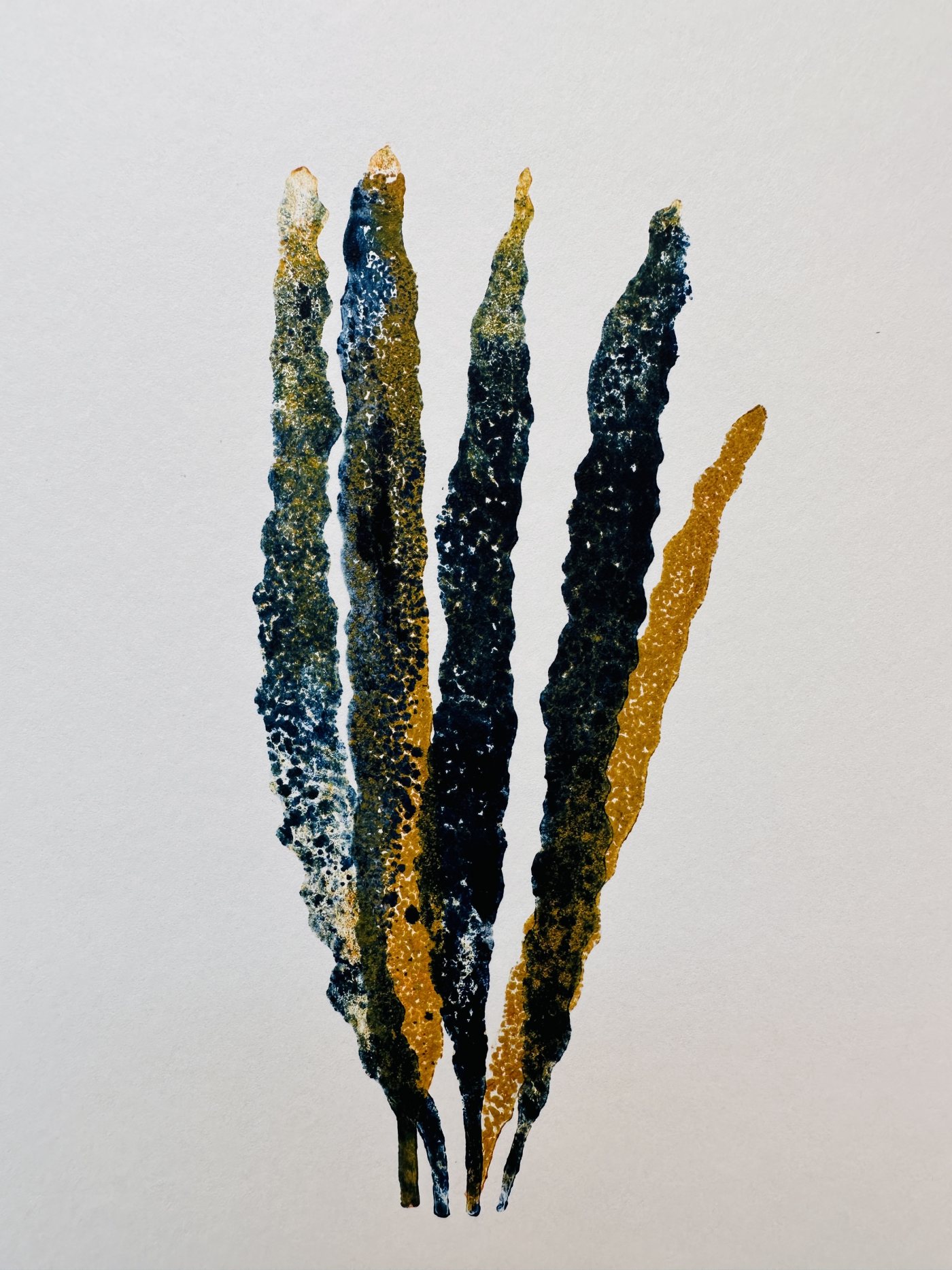 Algen braun bis blau