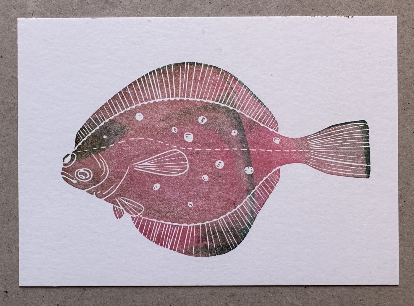 Flunder pink
