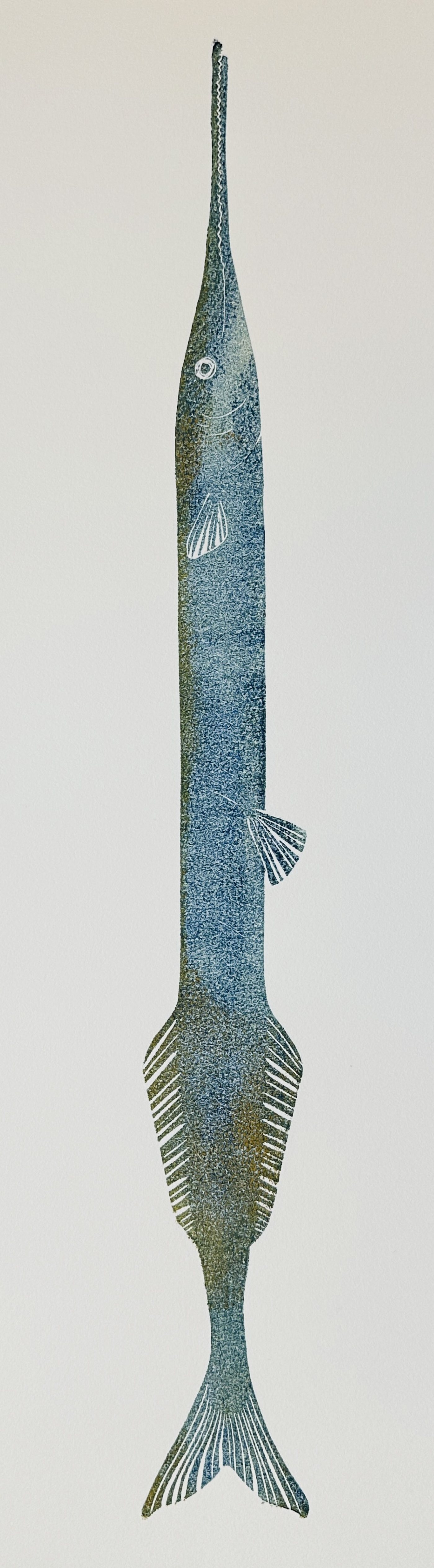 Hornhecht hellblau